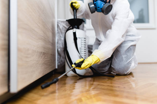 Best Pest Control for Restaurants  in Ogdensburg, NY