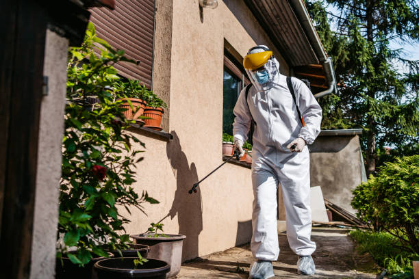 Best Wasp Removal Services  in Ogdensburg, NY
