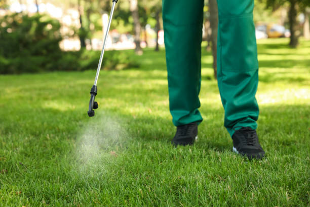 Best Affordable Pest Control Services  in Ogdensburg, NY