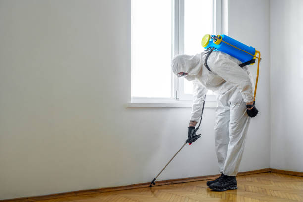 Best Pest Control Near Me in Ogdensburg, NY