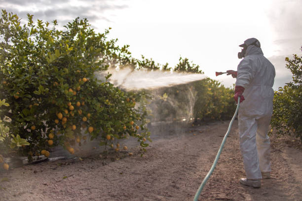 Best Best Pest Control Companies  in Ogdensburg, NY