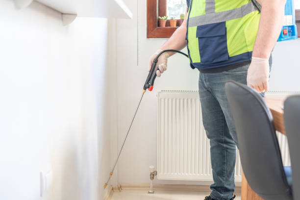 Best Flea Control Services  in Ogdensburg, NY