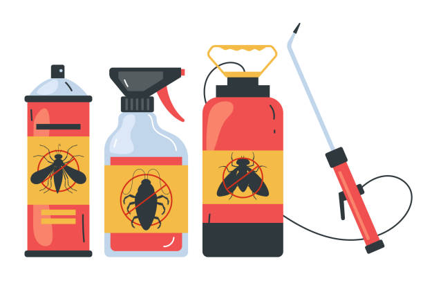 Best Termite Control Services  in Ogdensburg, NY