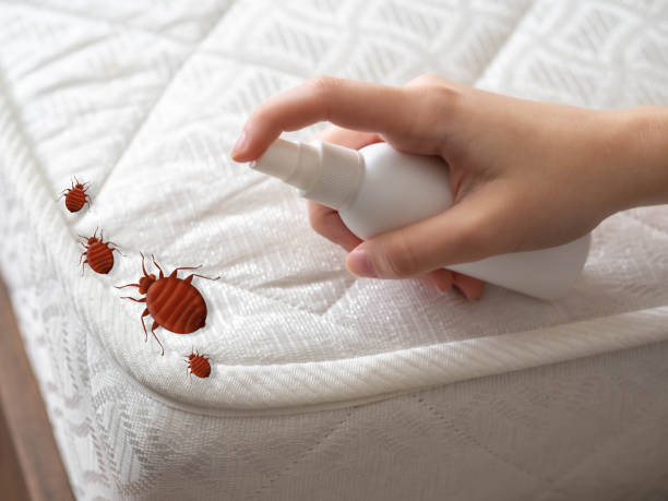 Best Best Pest Control Companies  in Ogdensburg, NY