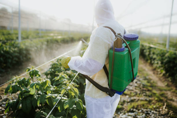 Best Wildlife Control Services  in Ogdensburg, NY